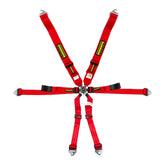 Schroth Enduro 3x2 Harness